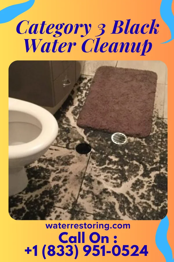 Category 3 Black Water Cleanup in Runville, PA