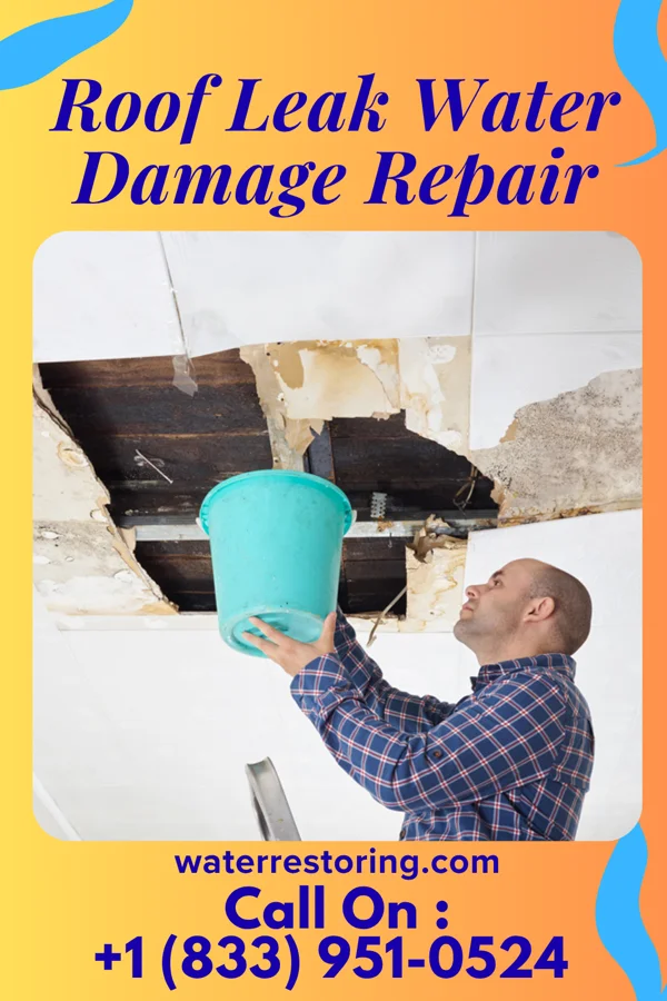 Roof Leak Water Damage Repair in Runville, PA