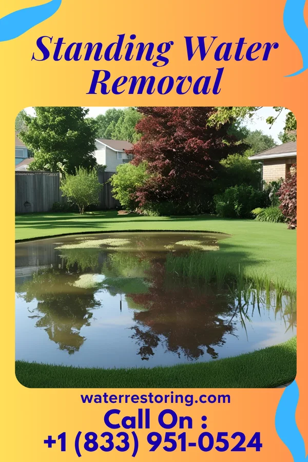 Standing Water Removal in Runville, PA